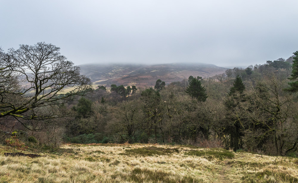 Goyt's Moss Goyt's Moss